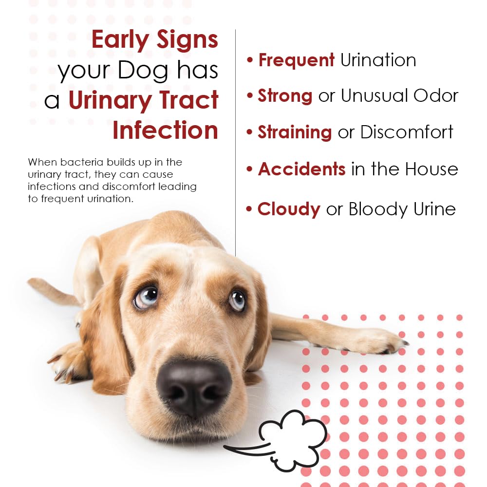 Pet Health Solutions Cranberry D-Mannose: ingredientes clave arándano y D-mannosa.