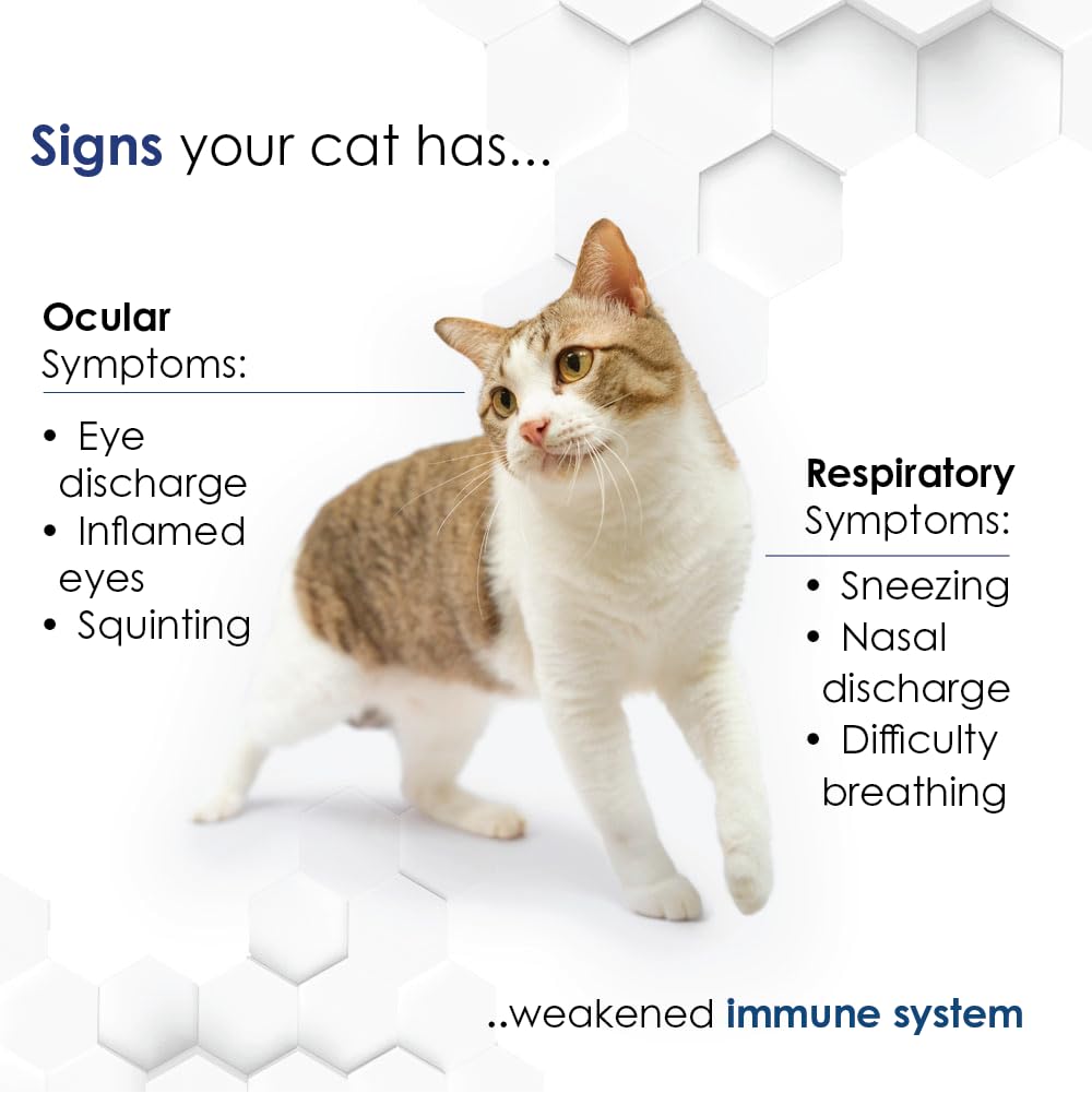 Pet Health Solutions Felisyl L-Lisina: hecho en Estados Unidos