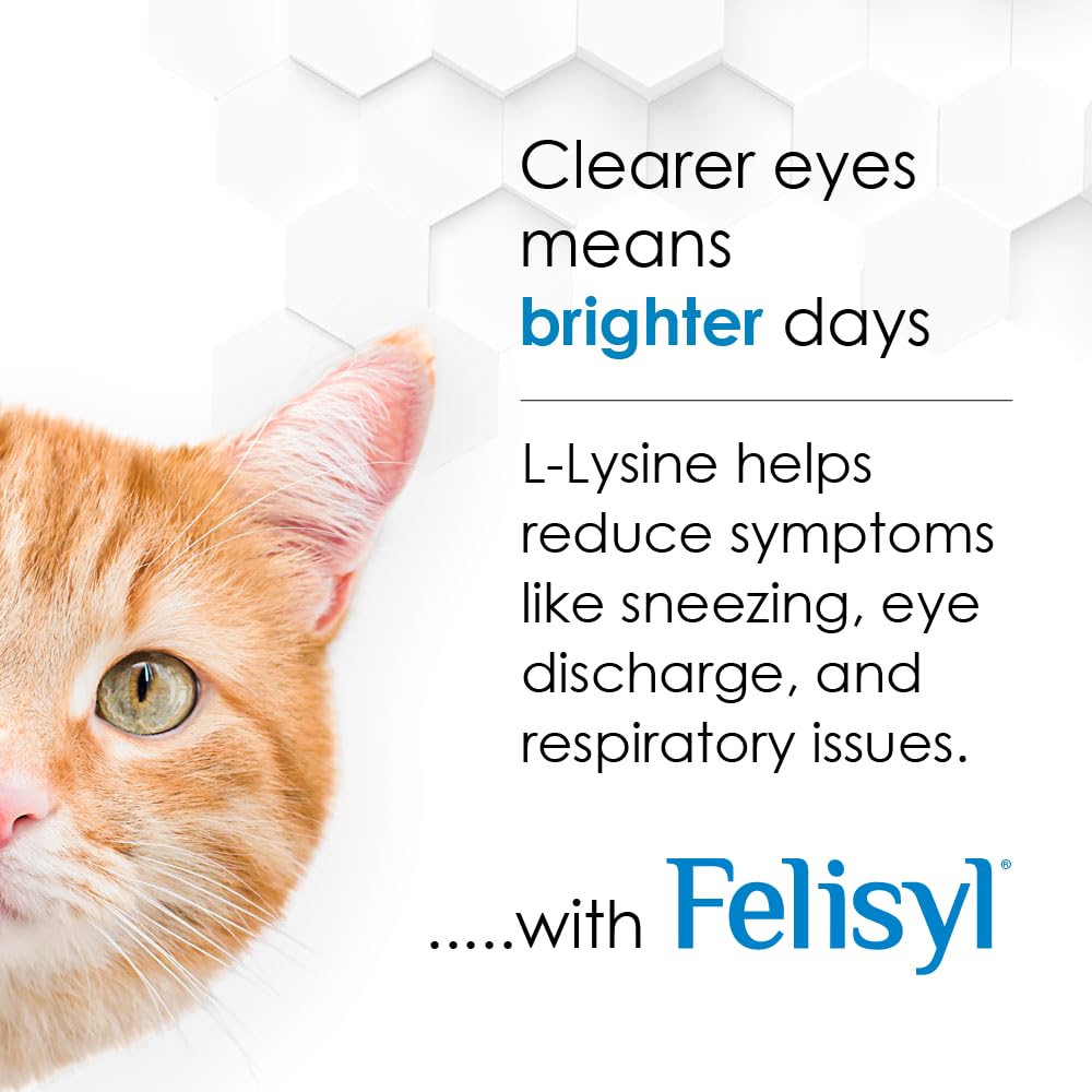 Pet Health Solutions Felisyl L-Lisina: complemento para la dieta diaria