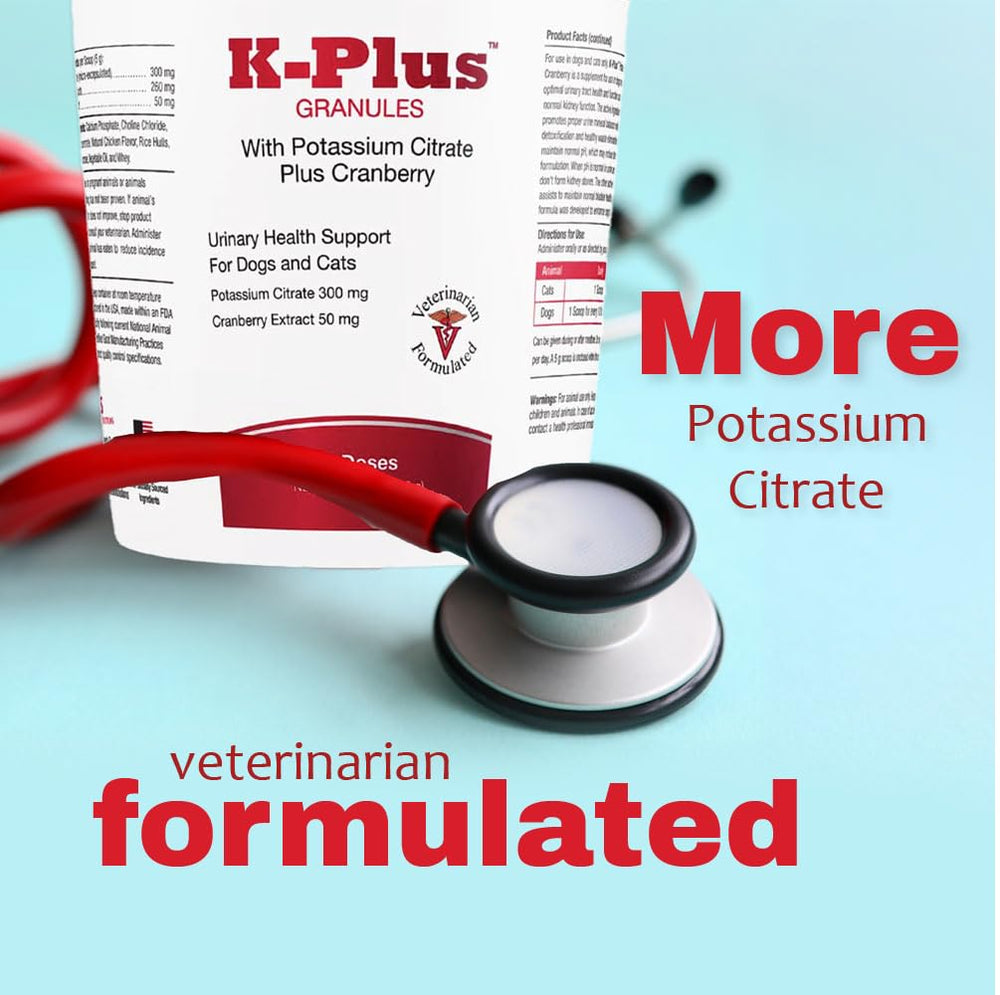 Pet Health Solutions K-Plus granulos con arándano: complemento de calidad para bienestar diario.