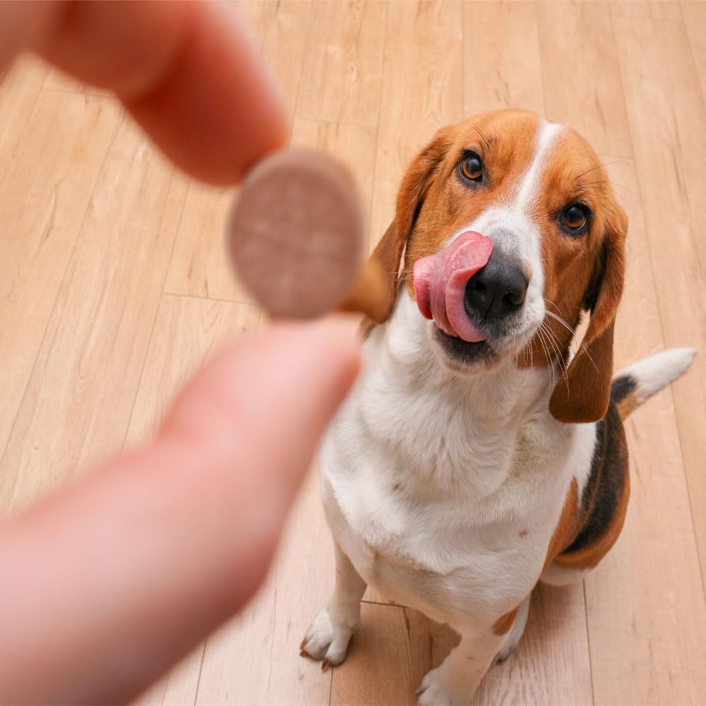 Pet Health Solutions K-Plus tabletas para todas las razas.