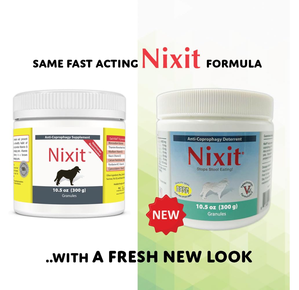 Nixit apoyo digestivo y hábitos más sanos en la dieta diaria.