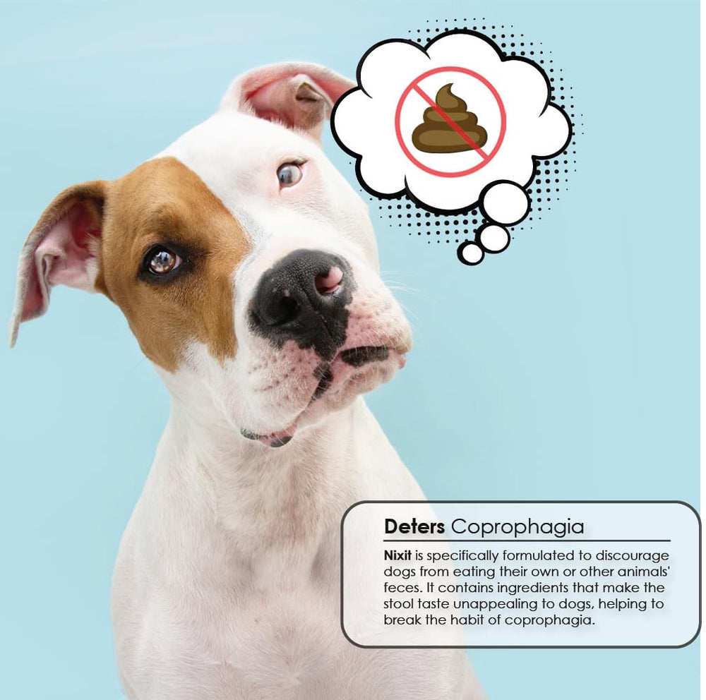 Nixit tabletas masticables naturales, textura agradable para perros durante entrenamiento.