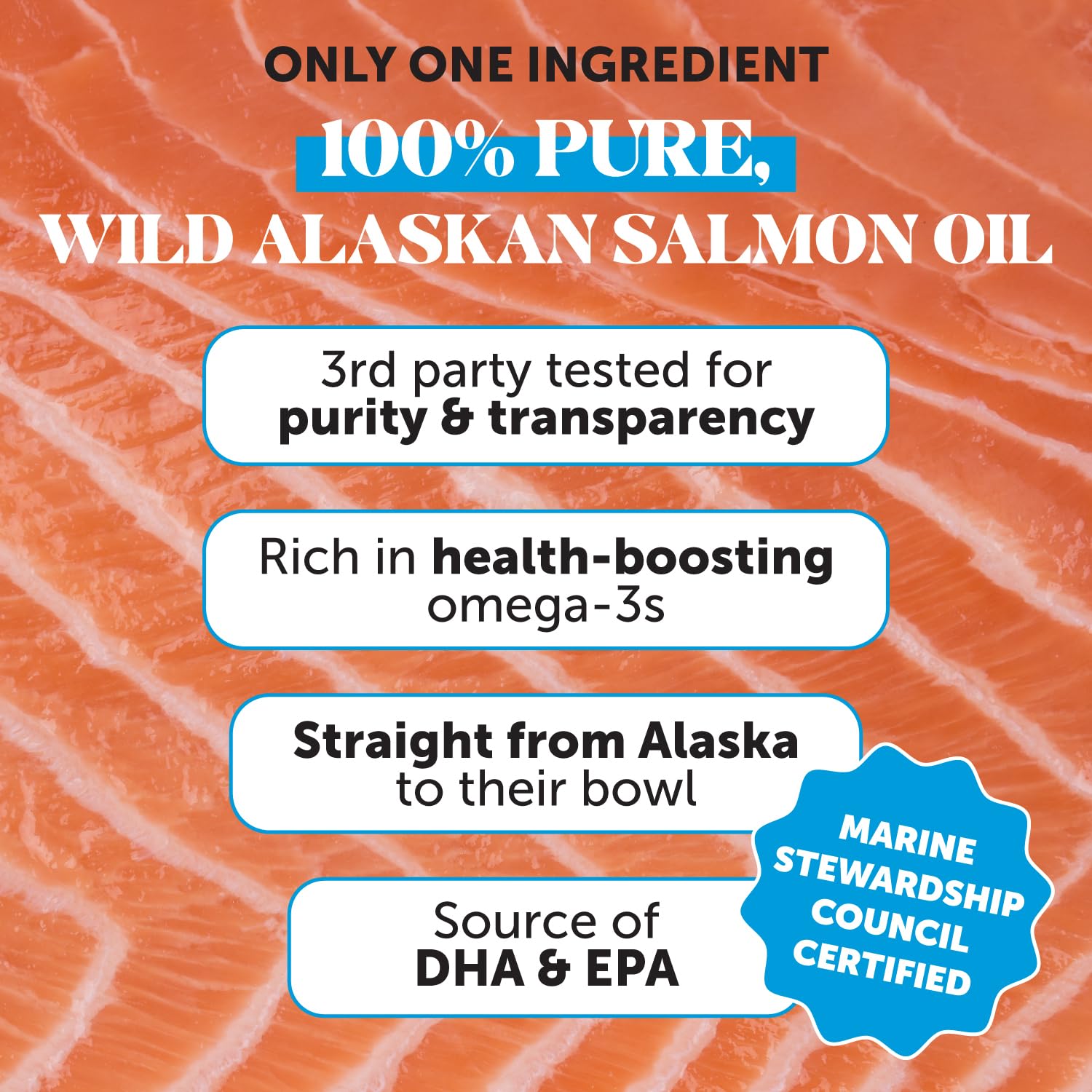Pet Honesty aceite de salmón salvaje sobre comida, realzando sabor y nutrición.