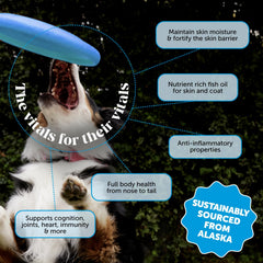 Pet Honesty aceite de salmón salvaje, vertido suave en cuenco para preparación de comida.