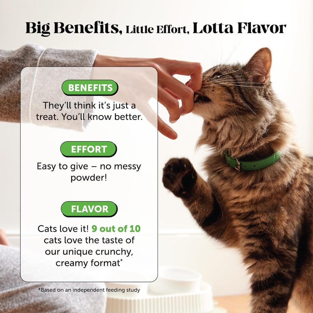 Pet Honesty combinación de arándano y probióticos para la salud digestiva felina.