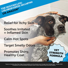 Pet Honesty shampoo con chlorhexidina para gato; botella frontal para higiene segura.