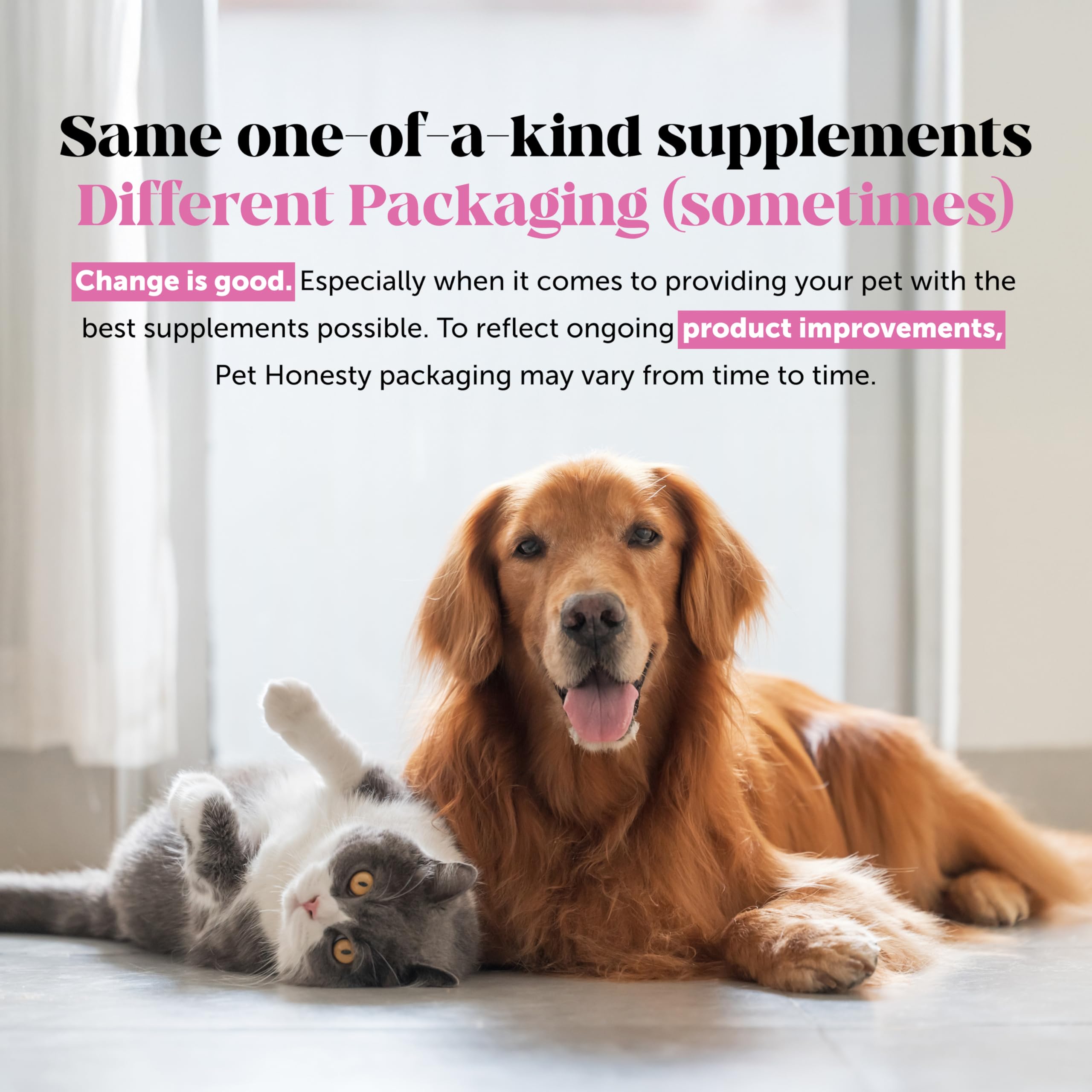 Pet Honesty complemento cómodo para perros activos y felices.