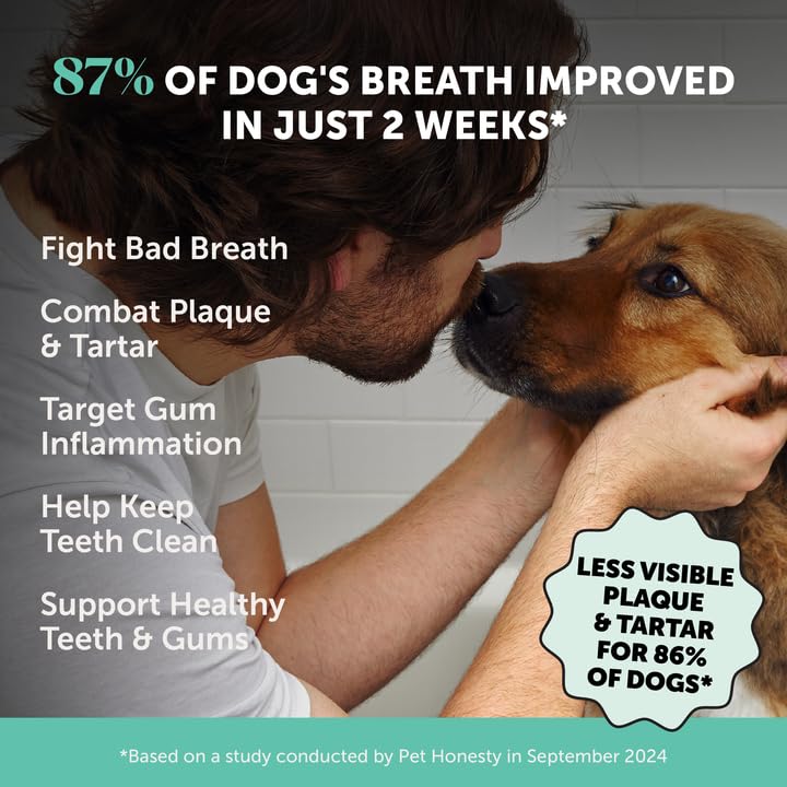 Pet Honesty cuidado dental para perros grandes.