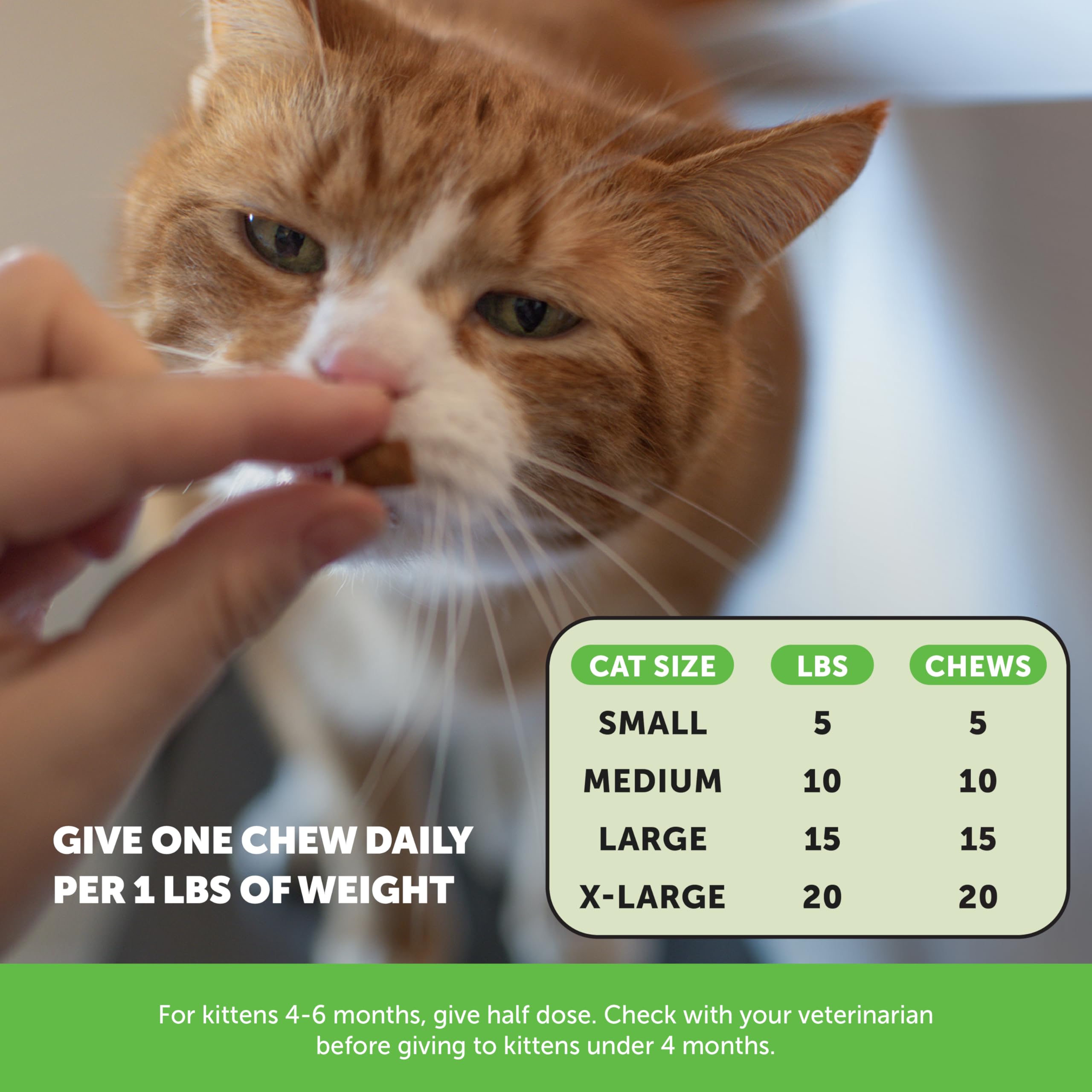 Pet Honesty envase de plástico reciclado, compromiso con el medio ambiente.