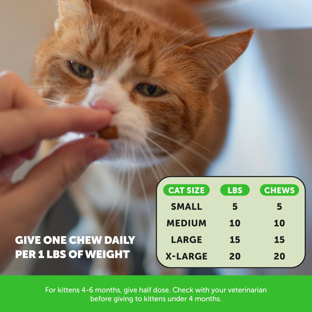 Pet Honesty envase de plástico reciclado, compromiso con el medio ambiente.