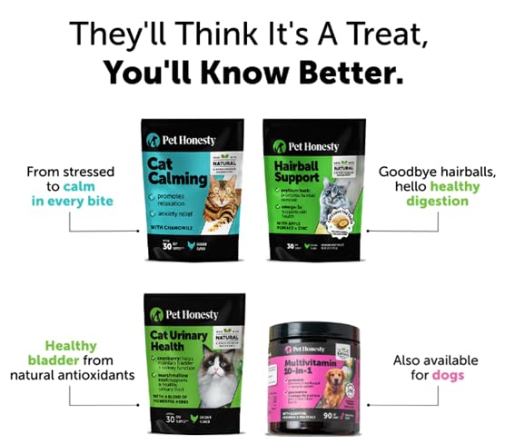 Pet Honesty Gato ingredientes naturales, sin maíz, trigo ni soja.