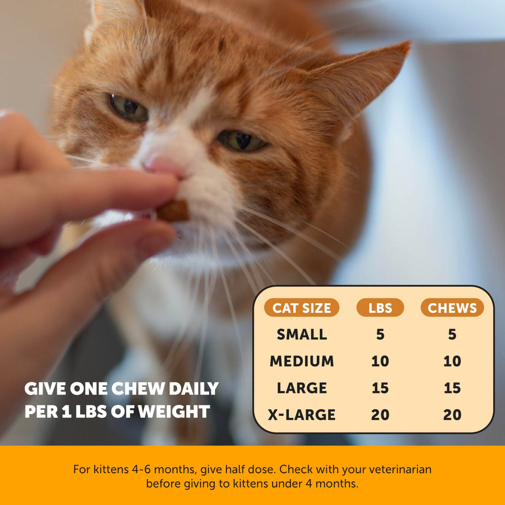 Aprobación veterinaria de Pet Honesty Lisina para gatos.