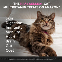 Pet Honesty Gato, impulso inmunológico con vitaminas clave para defensas naturales.