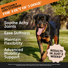Pet Honesty glucosamina y omega-3 para articulaciones y salud articular.