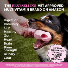 Pet Honesty glucosamina para perros, articulaciones flexibles.