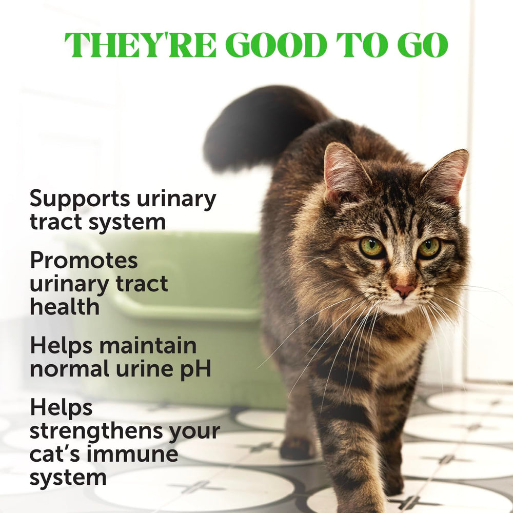 Pet Honesty envase de golosinas para gatos con arándano que favorece la digestión.