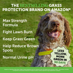 Perro masticando Grass Green Max, sabroso aperitivo diario para mascotas.