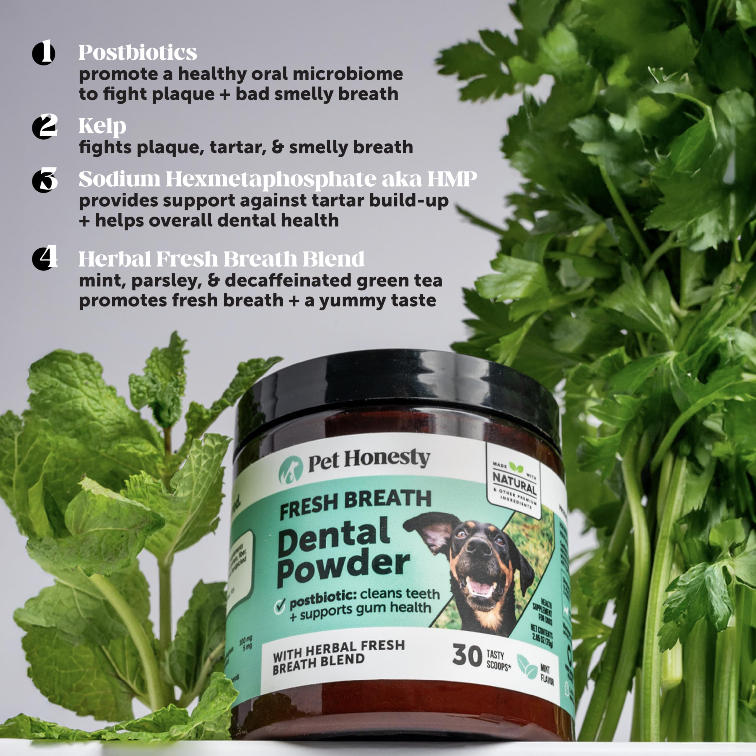 Pet Honesty hierbas naturales y postbioticos para higiene bucal.
