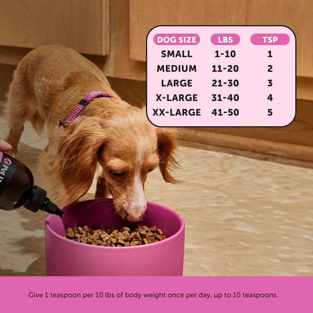 Pet Honesty ingredientes naturales para la nutrición diaria de perros.