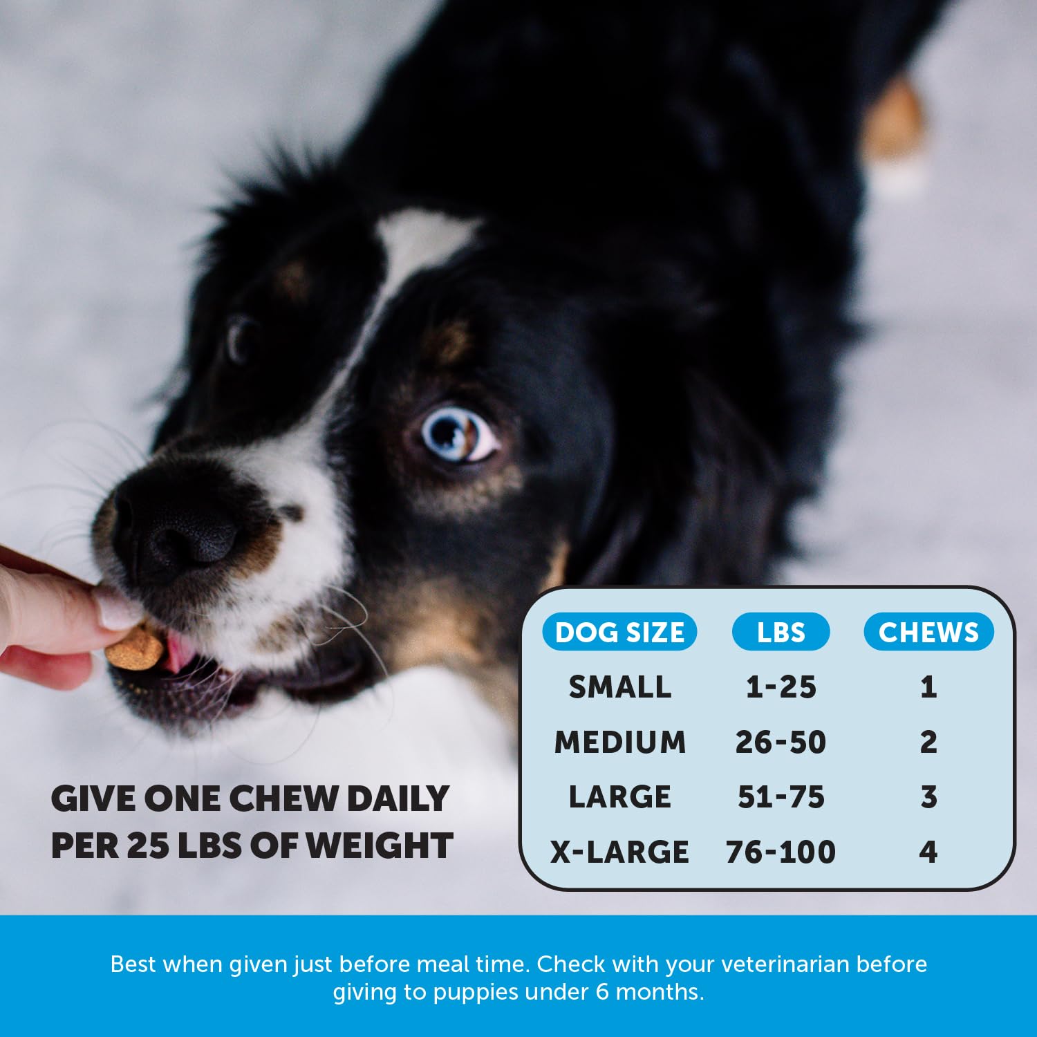 Chews de Pet Honesty Omega Skin Health, pelaje más brillante tras uso diario.