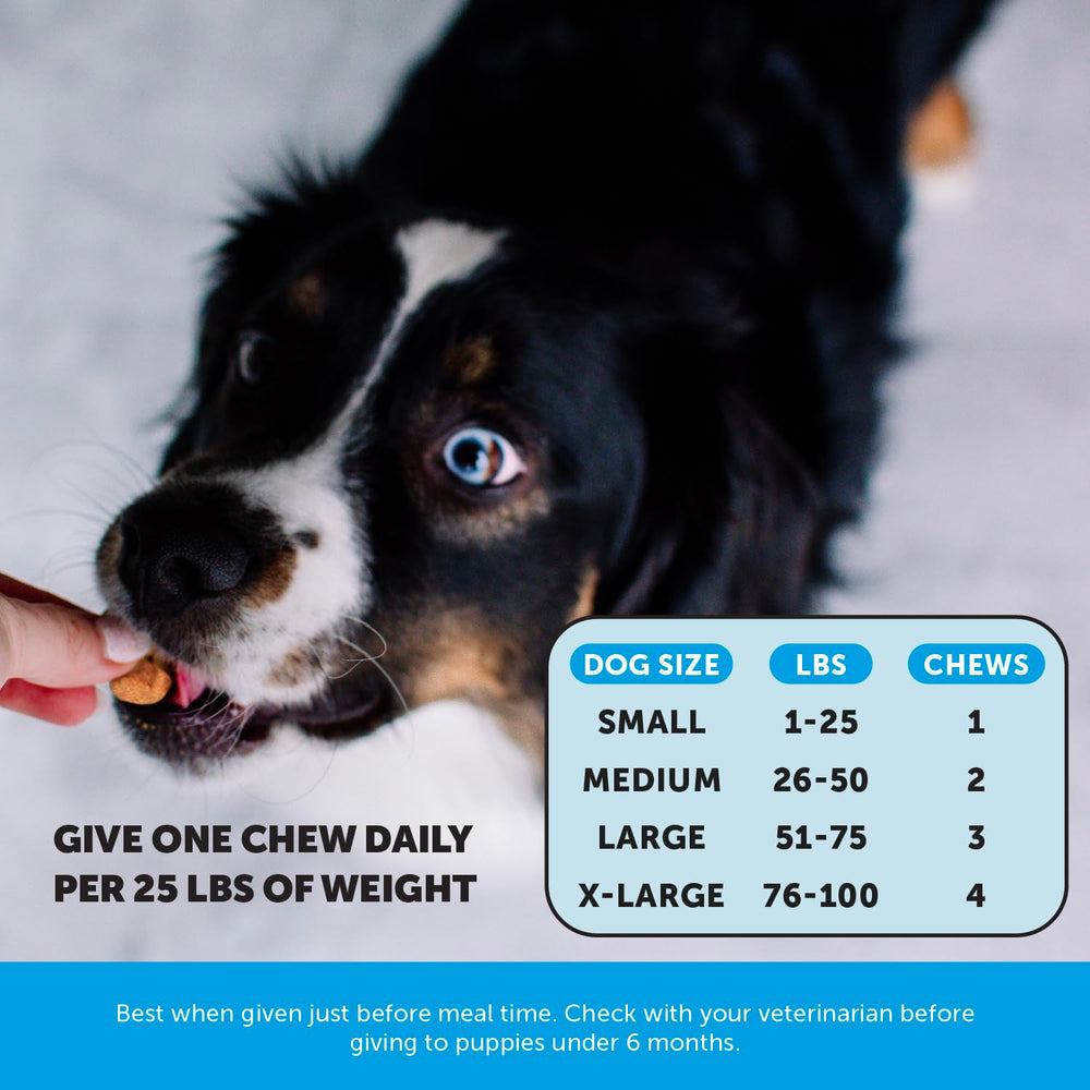 Chews de Pet Honesty Omega Skin Health, pelaje más brillante tras uso diario.
