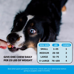 Chews de Pet Honesty Omega Skin Health, pelaje más brillante tras uso diario.