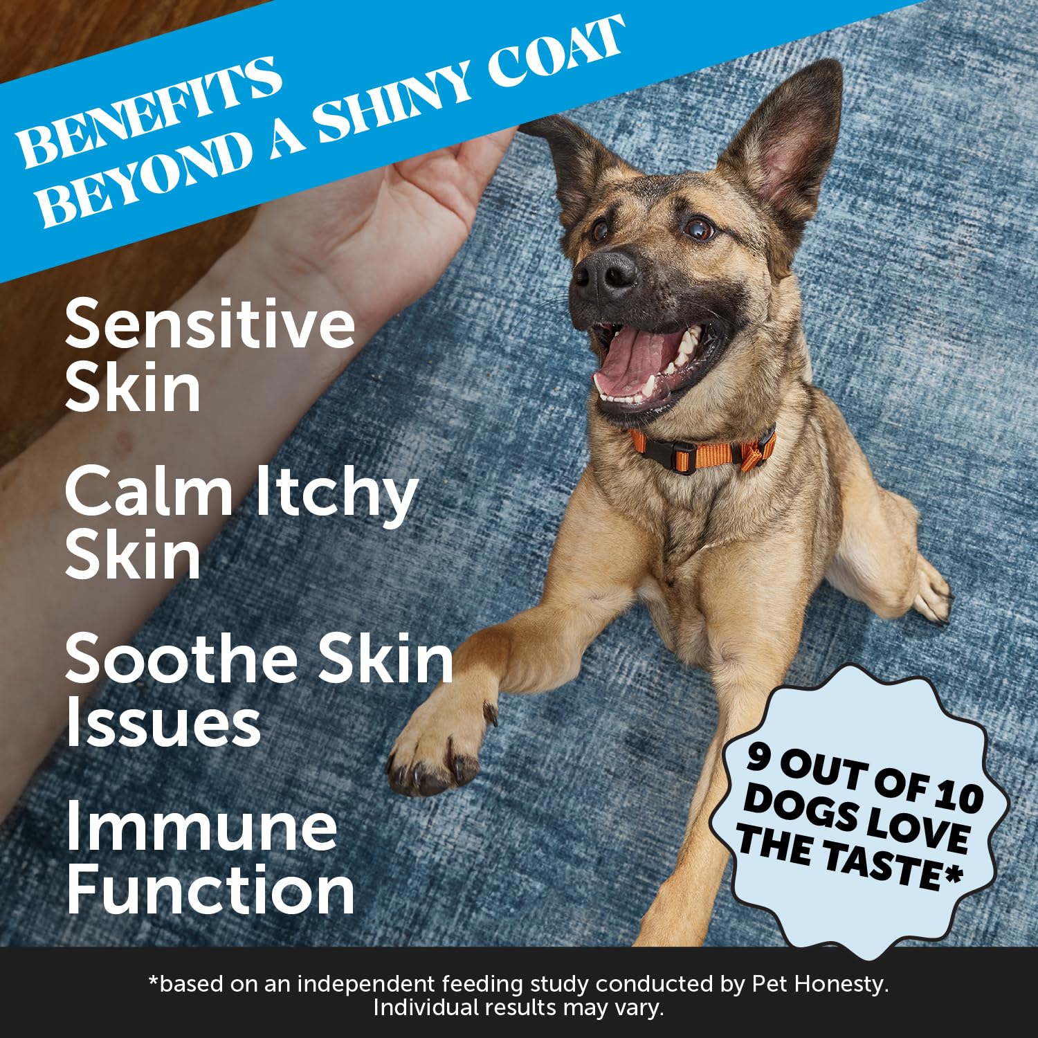 Textura crujiente de Pet Honesty Omega Skin Health chews para pelaje brillante.