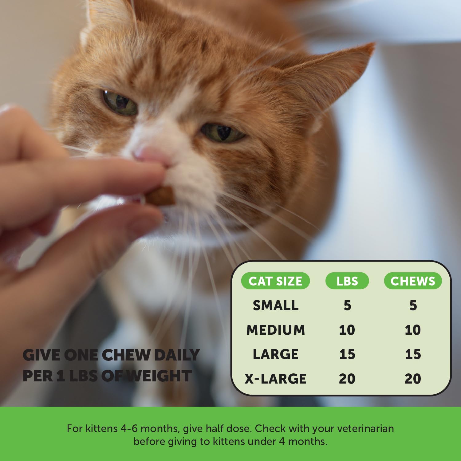 Ingredientes limpios de Pet Honesty para gatos, sin rellenos artificiales