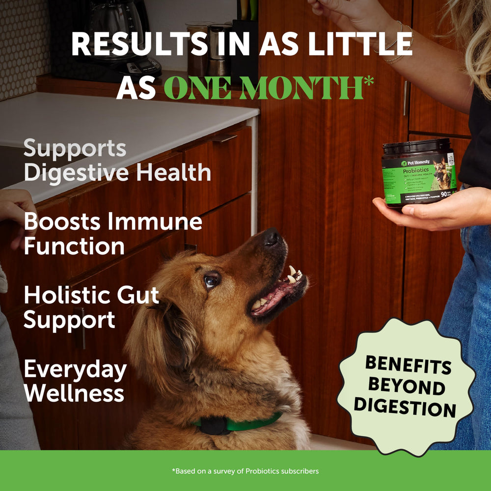 Pet Honesty probióticos para perros: masticables sabrosos que favorecen la regularidad.