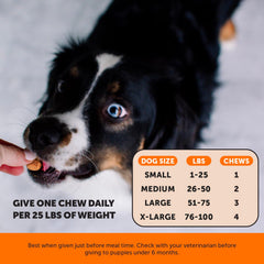 Pet Honesty sabor calabaza y coco, gusto que agradan a perros