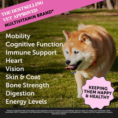 Pet Honesty Senior Dog Multivitamin, envase 90 gomitas, sabor que anima la rutina.