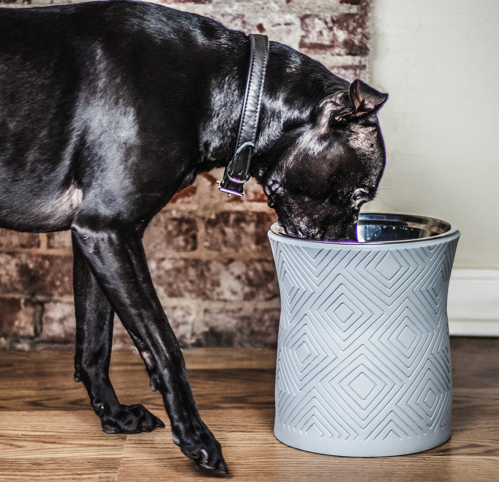 Pet Junkie Santa Fe: base antideslizante que evita que el plato se desplace