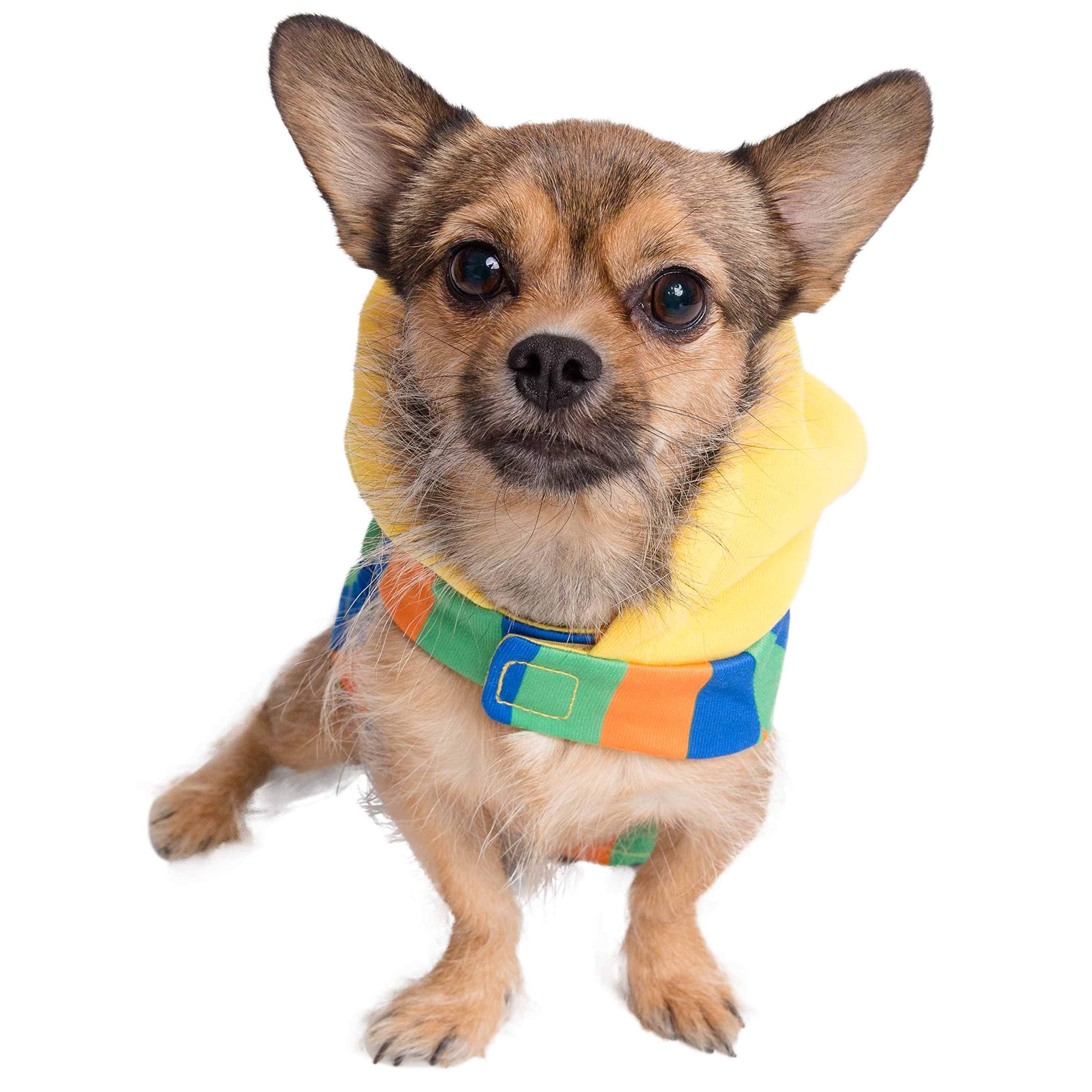 Pet Krewe Bert disfraz perro capucha muestra Bert icónico para fiestas