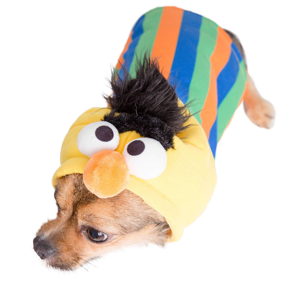 Pet Krewe disfraz perro forro suave interior para mayor comodidad