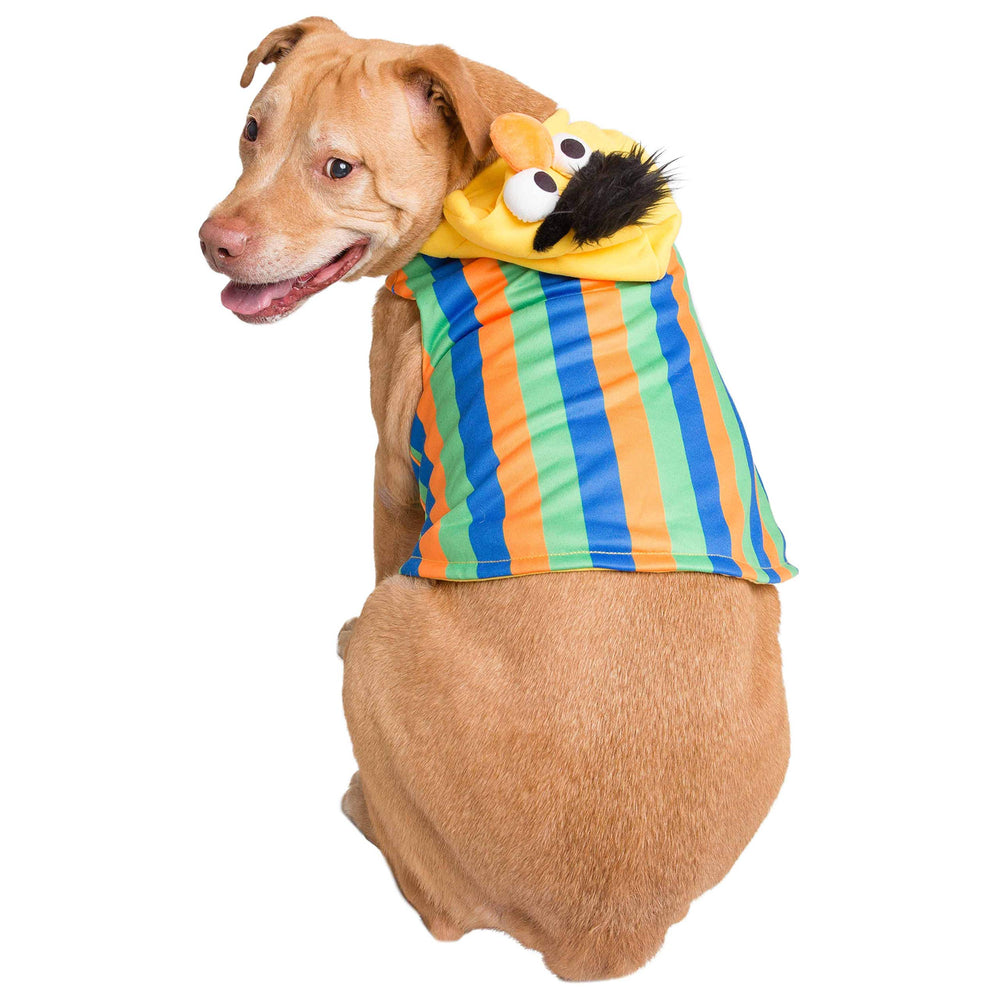 Pet Krewe disfraz perro Halloween divertido para mascotas