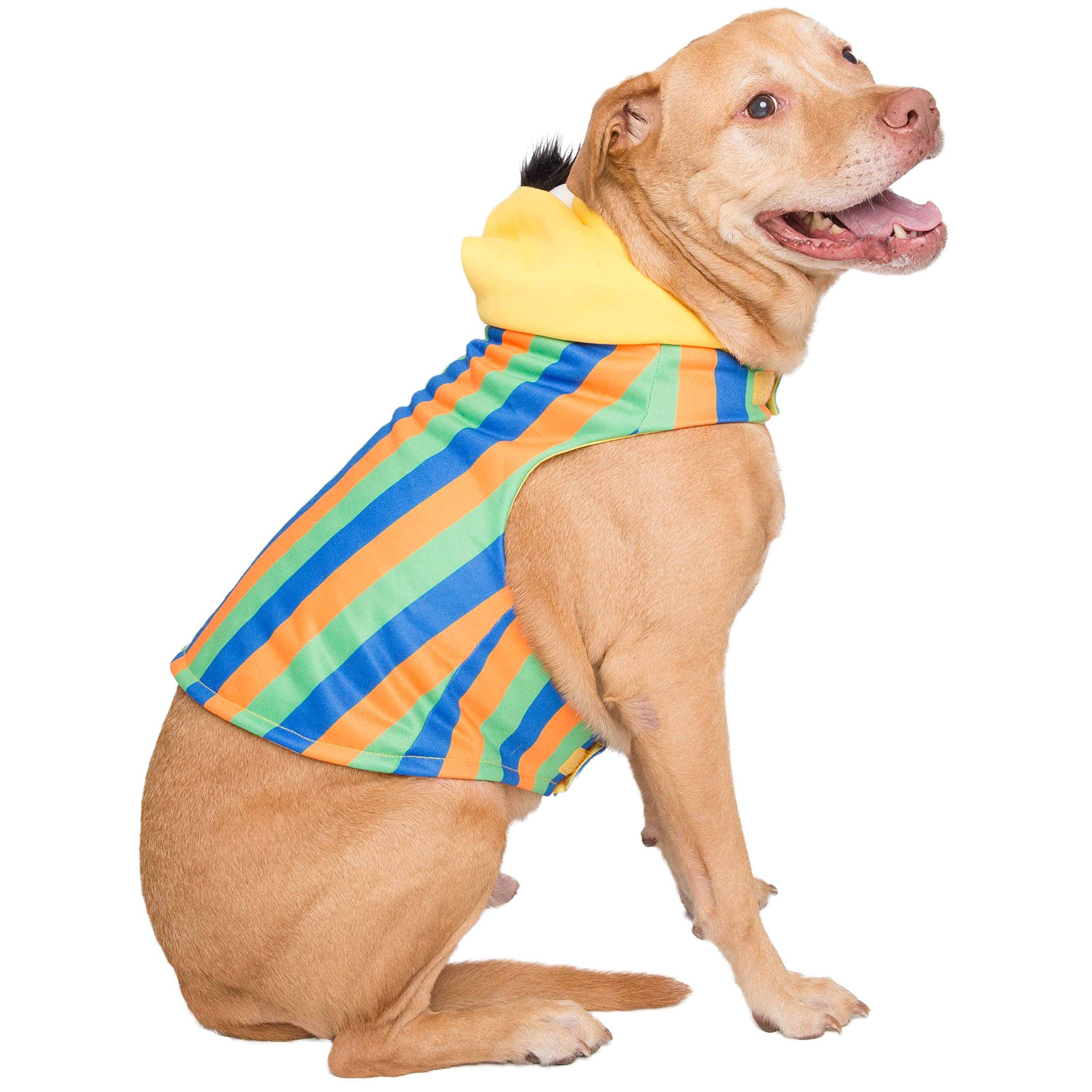 Pet Krewe disfraz perro Navidad, perfecto para celebraciones