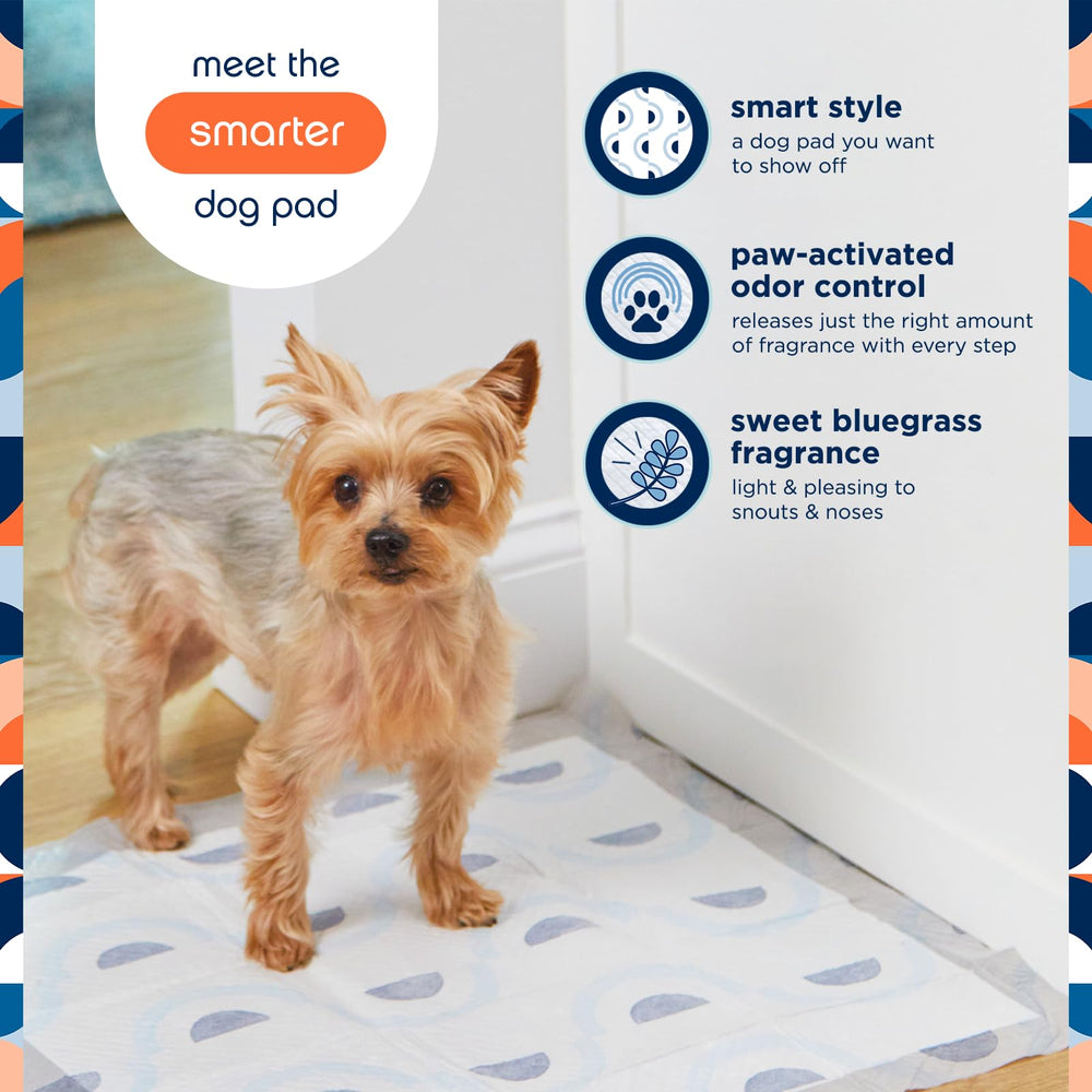 Pet Life Unlimited Smart Prints fragancia Sweet Bluegrass suave para humanos y mascotas