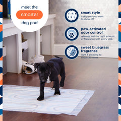 Pet Life Unlimited Smart Prints XL: fragancia suave activada por humedad