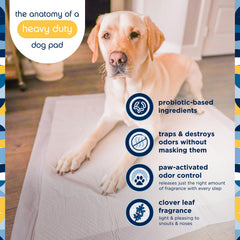 Tecnología de absorción de 5 capas de Pet Life Unlimited para mayor protección.