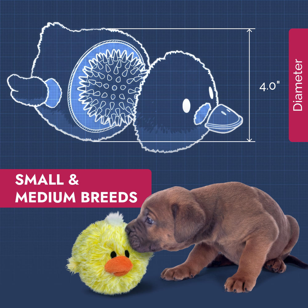 Pet Lou DOG'Z flota en el agua, ideal para sesiones de fetch en exterior.