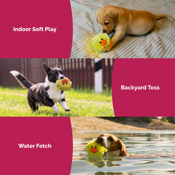Pet Lou DOG'Z sin relleno reduce desorden y facilita la limpieza tras jugar.
