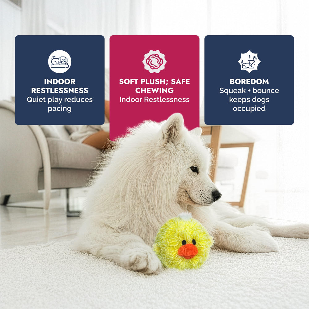 Pet Lou DOG'Z tamaño compacto, perfecto para perros pequeños y medianos.