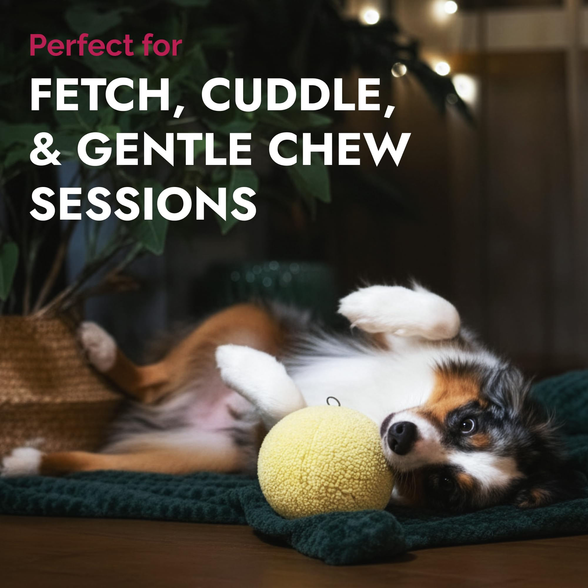 Pet Lou juego interactivo para perros, ideal para sesiones de interior y exterior suave.