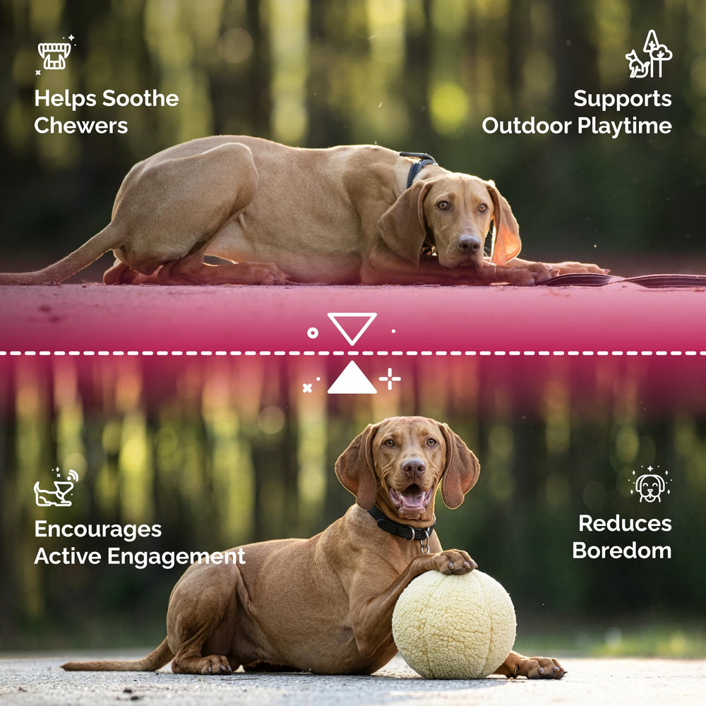 Pet Lou juego sensorial, textura suave y sonido para estimular al perro.