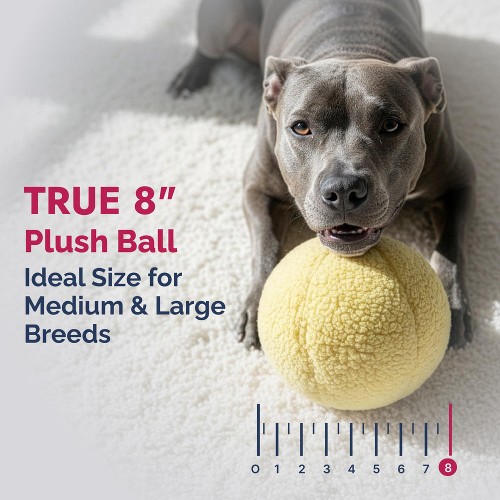 Pet Lou tamaño grande, adecuado para razas medianas y grandes que disfrutan de peluches robustos.