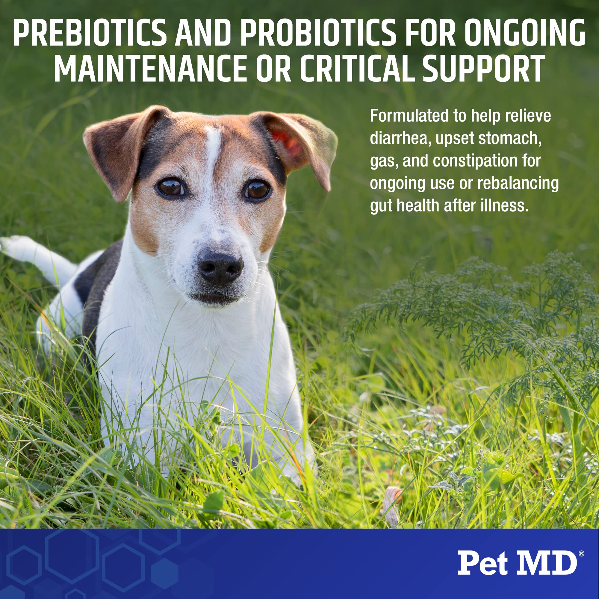 Pet MD Biotic Probiotics: dosificador para medir la dosis diaria, fácil de usar