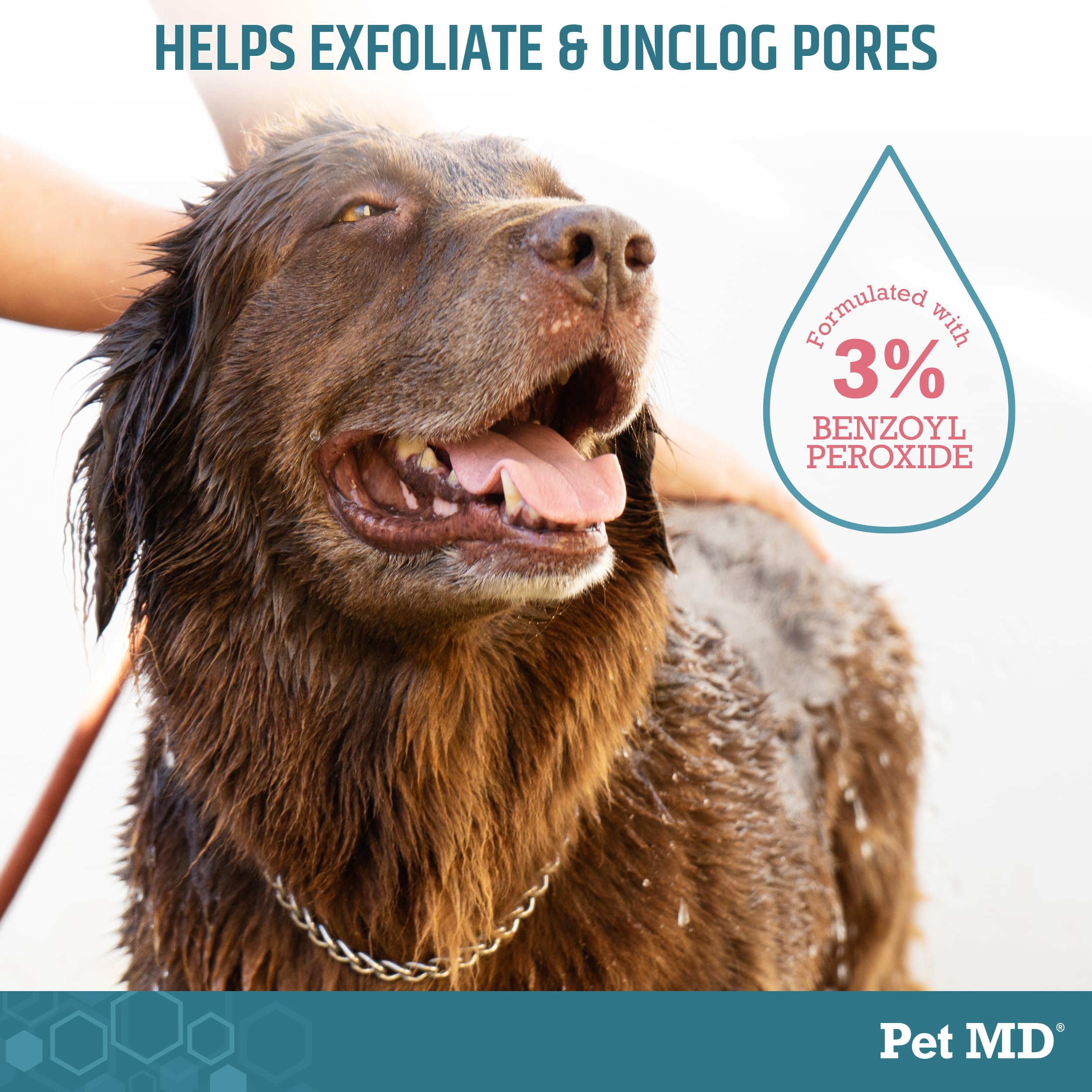 Pet MD Champú de peróxido de benzoilo para baño de mascotas: ayuda a refrescar el pelaje.