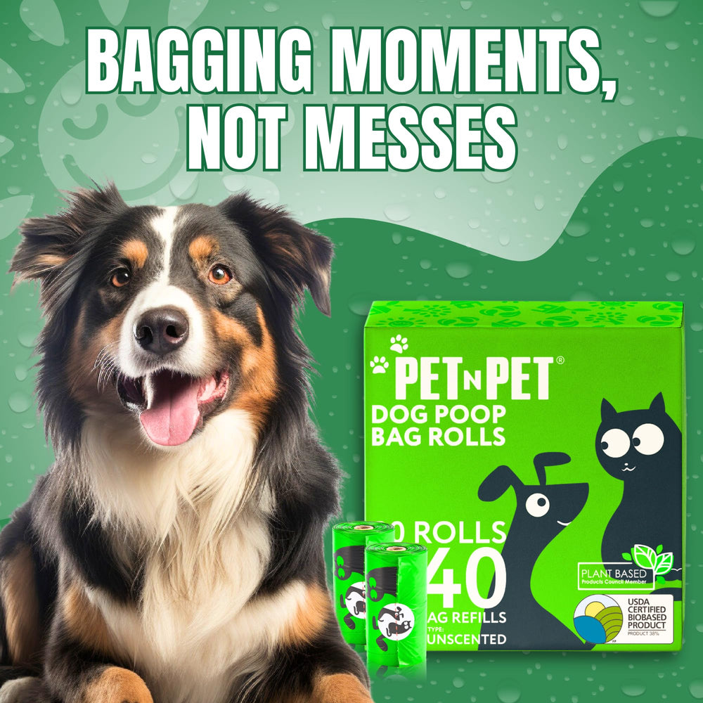PET N PET bolsas sin olor para uso diario durante paseos y parques