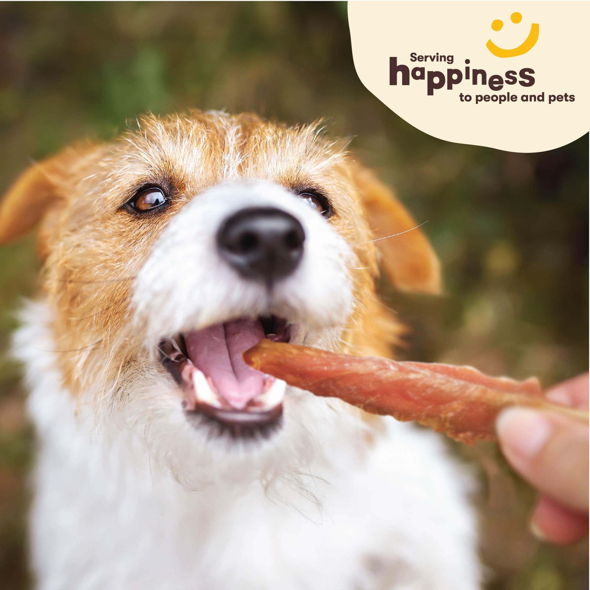 Pet 'n Shape Chik 'n Skewers ingredientes naturales: pollo y cuero crudo